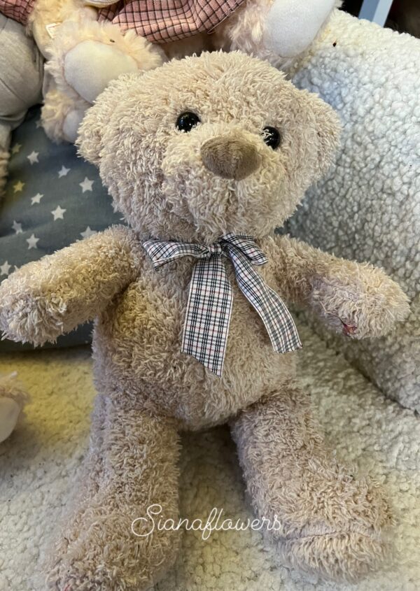 Плюшено мече”Sweet bear”