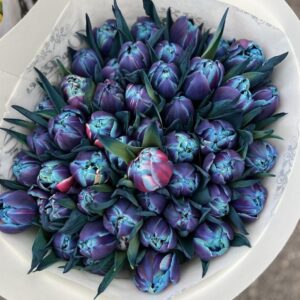 Букет от 49 сини лалета “Royal Blue”, VIP