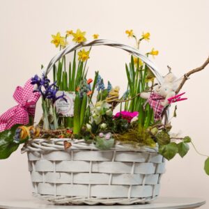 Кошница с пролетни засадени цветя “Happy spring” 🍄