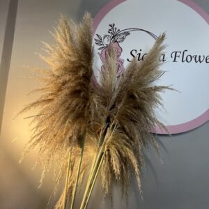 Пампас “Златен шепот”