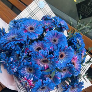 Букет от 51 гербери  “Нюанс на увереността”